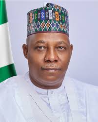 Vice President of Nigeria